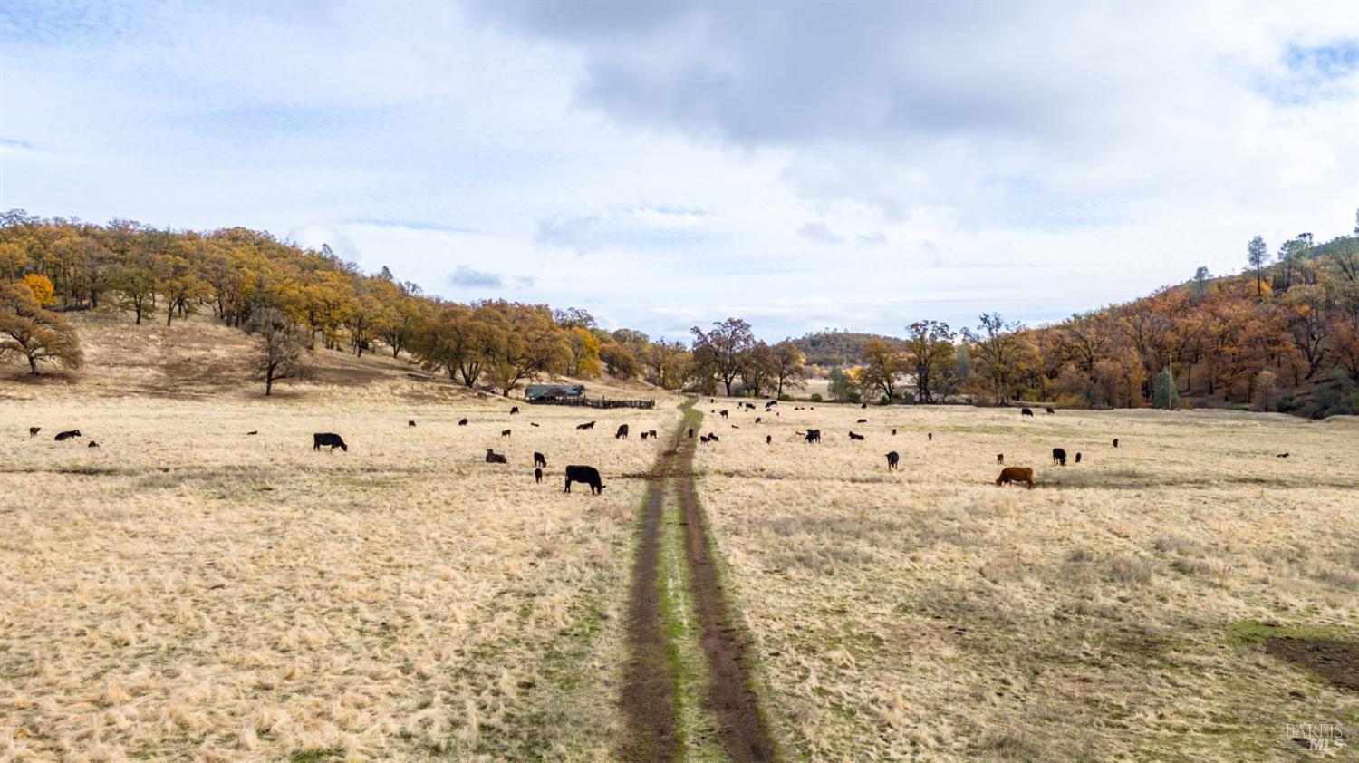 Front Image Thumbnail for BA326008859