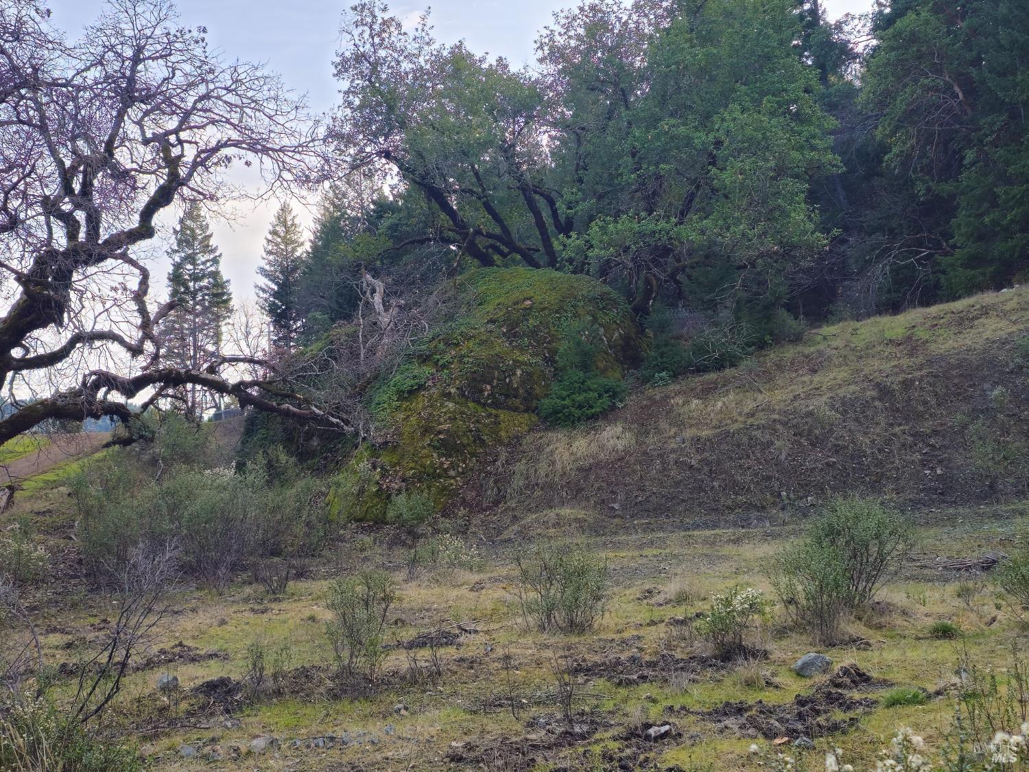 Detail Gallery Image 2 of 4 For 54240 Wildwood Drive Dr, Leggett,  CA 95585 - – Beds | – Baths