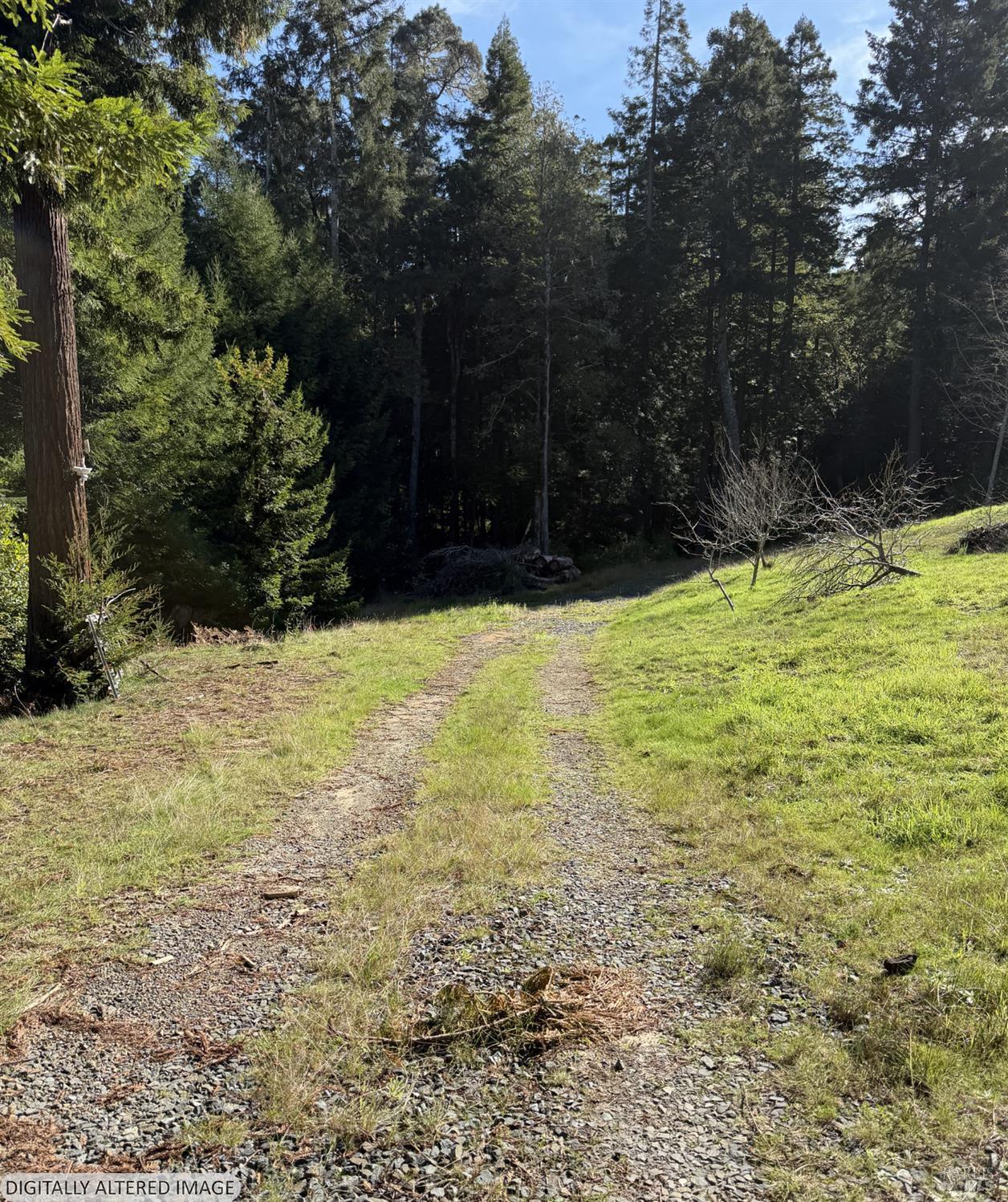 Detail Gallery Image 5 of 13 For 40741 Garcia River Rd, Point Arena,  CA 95468 - – Beds | – Baths