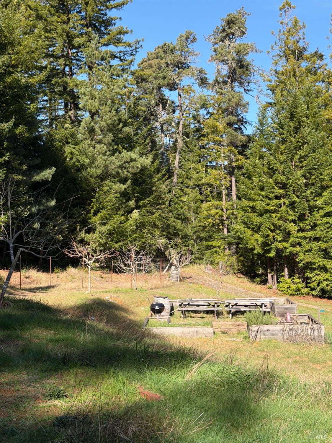 Detail Gallery Image 3 of 13 For 40741 Garcia River Rd, Point Arena,  CA 95468 - – Beds | – Baths