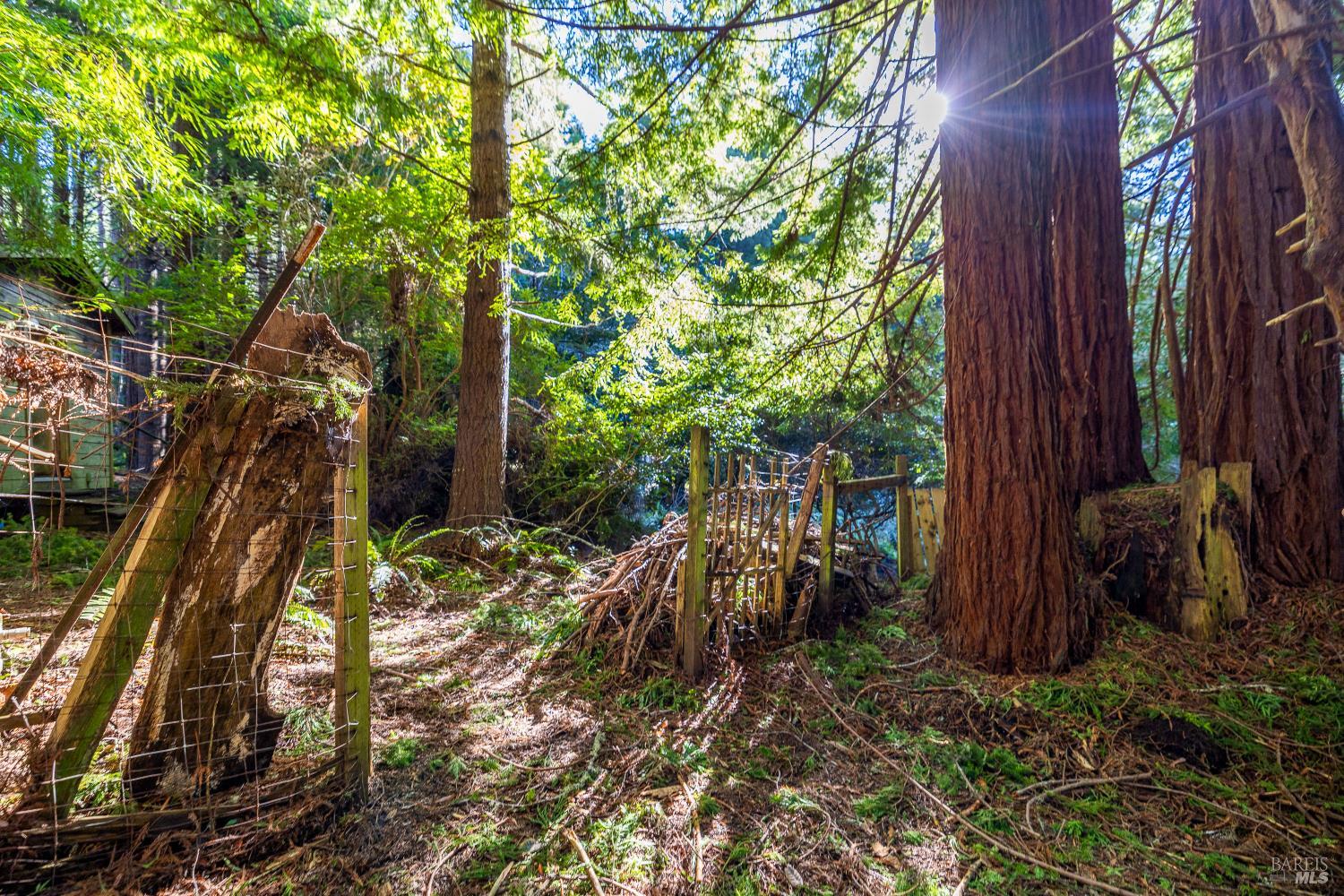 Detail Gallery Image 7 of 15 For 44720 Jack Peters Creek Rd, Mendocino,  CA 95460 - 3 Beds | 2 Baths