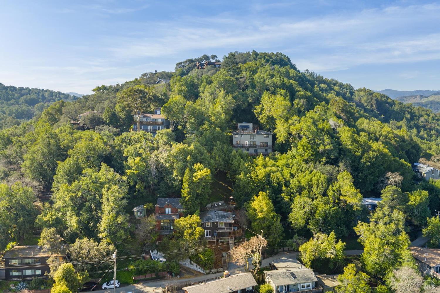 Detail Gallery Image 49 of 55 For 418 Scenic Ave, San Anselmo,  CA 94960 - 3 Beds | 2 Baths