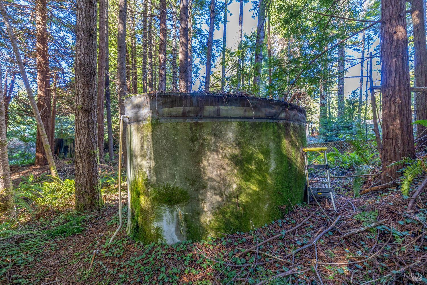 Detail Gallery Image 8 of 15 For 44720 Jack Peters Creek Rd, Mendocino,  CA 95460 - 3 Beds | 2 Baths