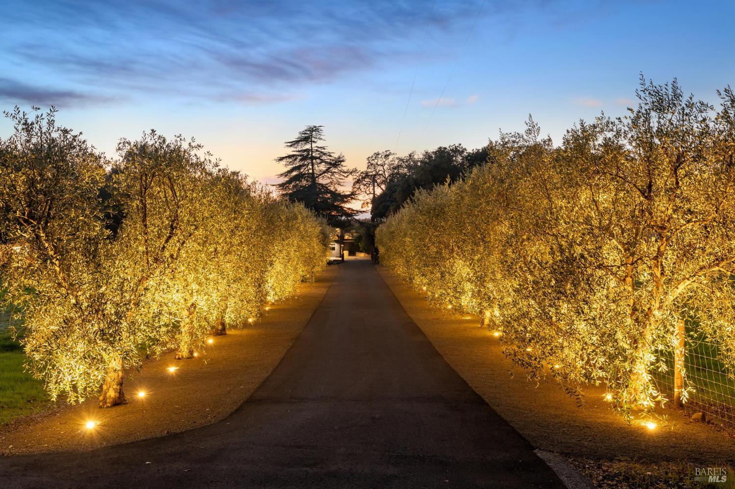 Detail Gallery Image 13 of 99 For 1135 Soda Canyon Rd, Napa,  CA 94558 - 5 Beds | 4/1 Baths
