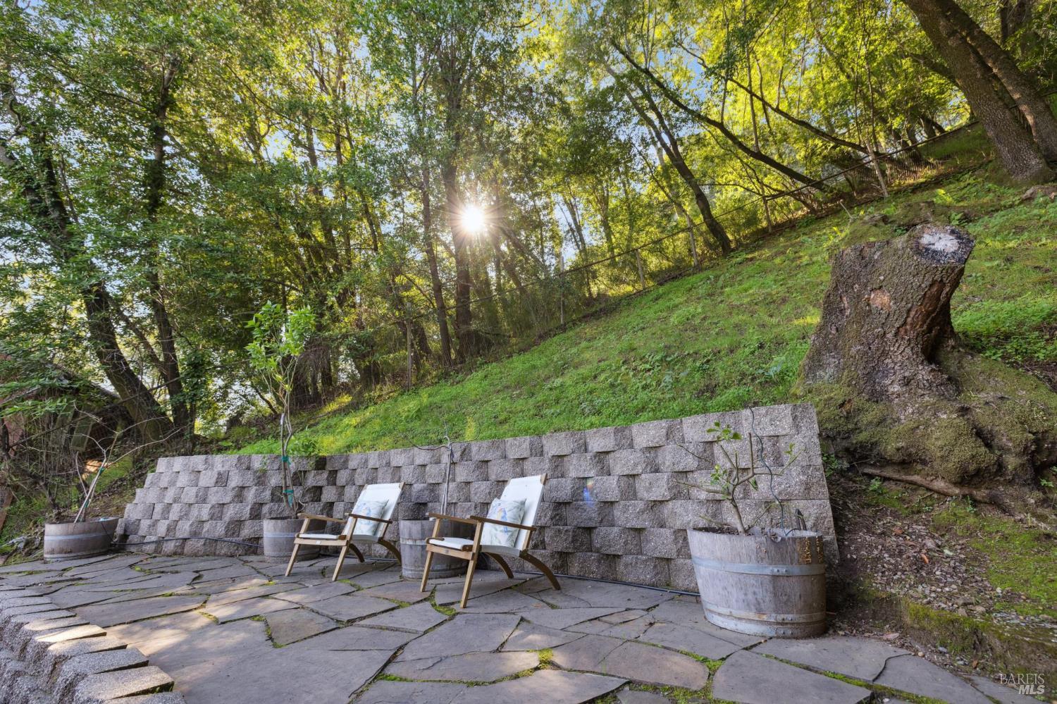 Detail Gallery Image 44 of 55 For 418 Scenic Ave, San Anselmo,  CA 94960 - 3 Beds | 2 Baths