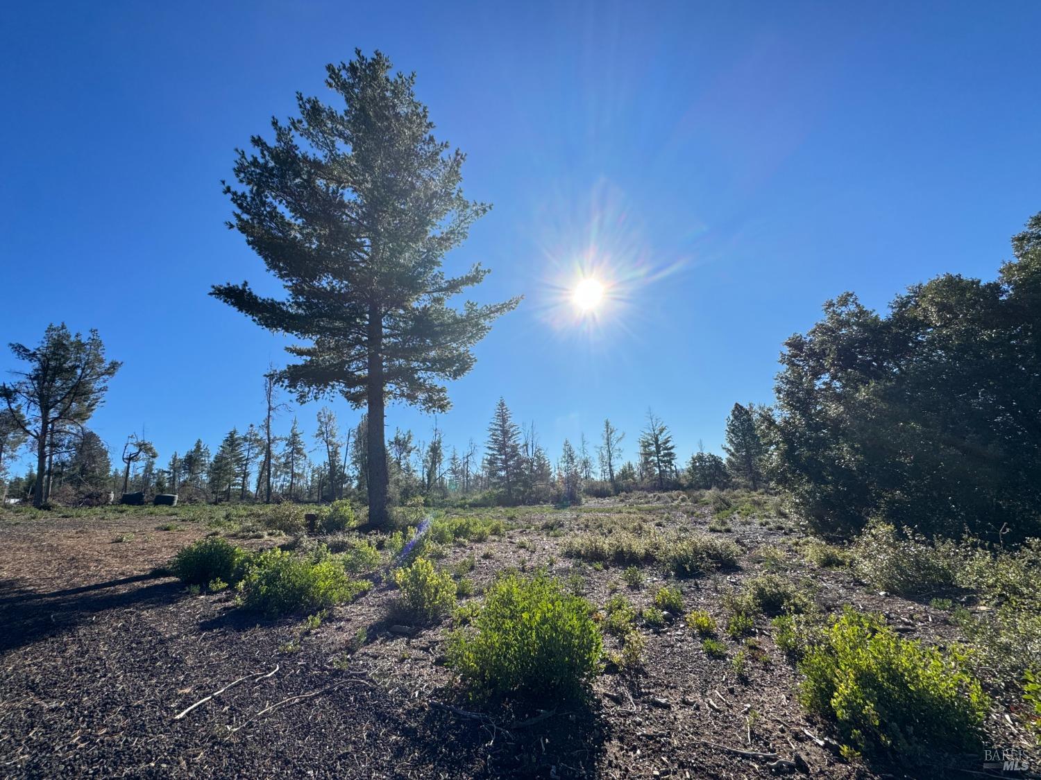 Detail Gallery Image 3 of 99 For 9240 Kelsey Creek Dr, Kelseyville,  CA 95451 - 1 Beds | 1 Baths