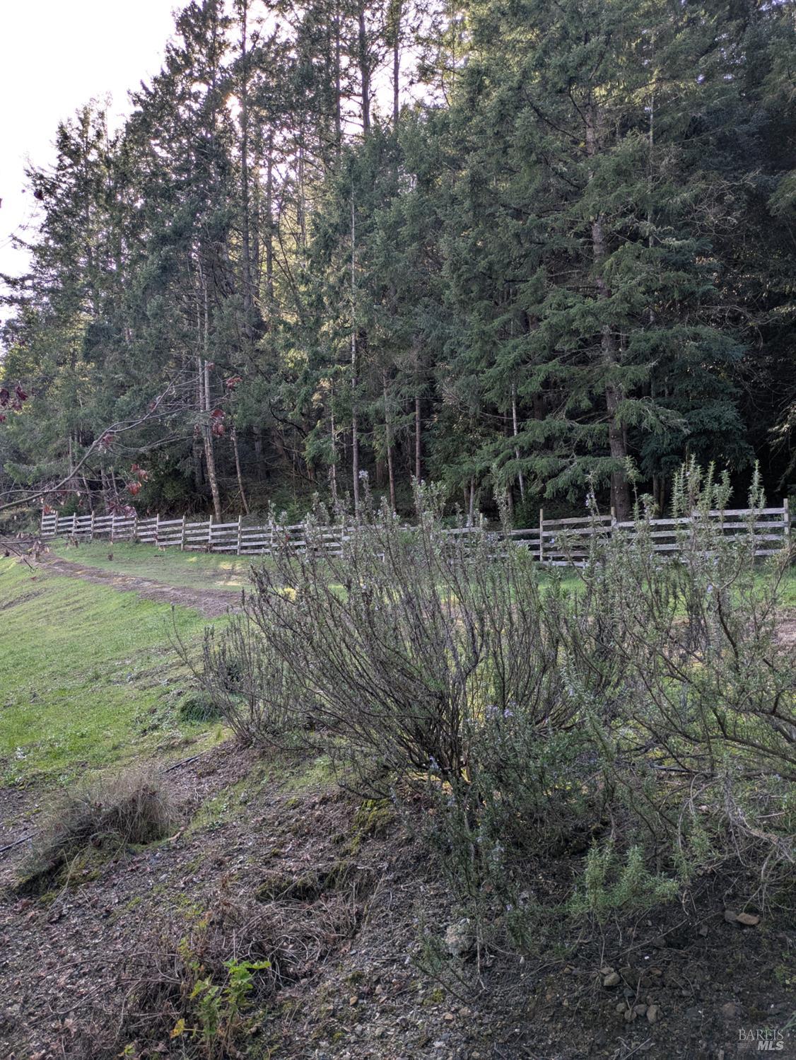 Detail Gallery Image 19 of 23 For 14639 Jomark Ln, Occidental,  CA 95465 - 2 Beds | 2/1 Baths