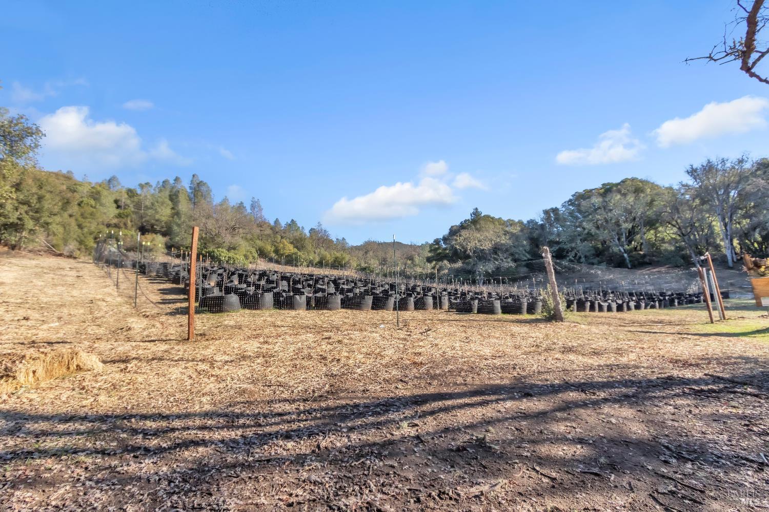 Detail Gallery Image 40 of 99 For 9240 Kelsey Creek Dr, Kelseyville,  CA 95451 - 1 Beds | 1 Baths