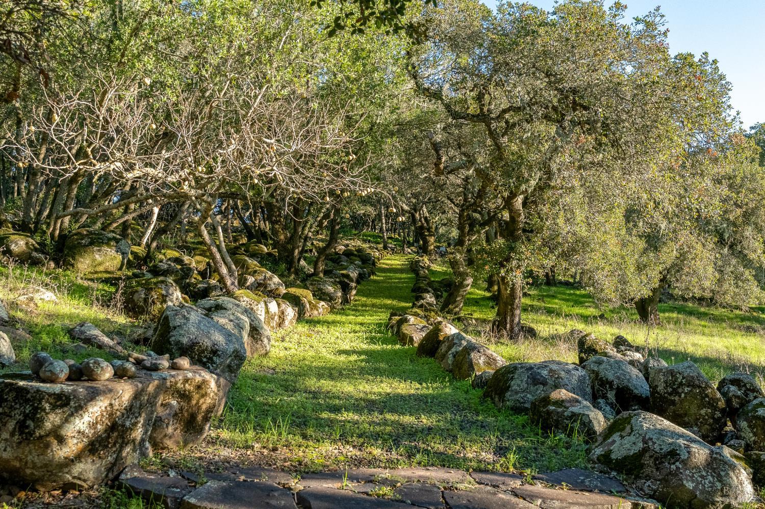 Detail Gallery Image 29 of 37 For 5100 Lovall Valley Rd, Sonoma,  CA 95476 - 0 Beds | 1 Baths