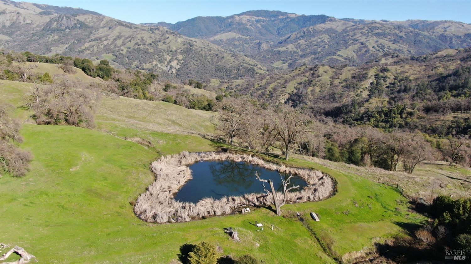 Detail Gallery Image 39 of 64 For 8225 Spyrock Rd, Laytonville,  CA 95454 - 2 Beds | 2 Baths