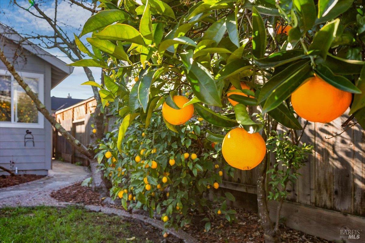 Detail Gallery Image 28 of 31 For 1705 Walnut Creek Dr, Santa Rosa,  CA 95403 - 4 Beds | 3 Baths