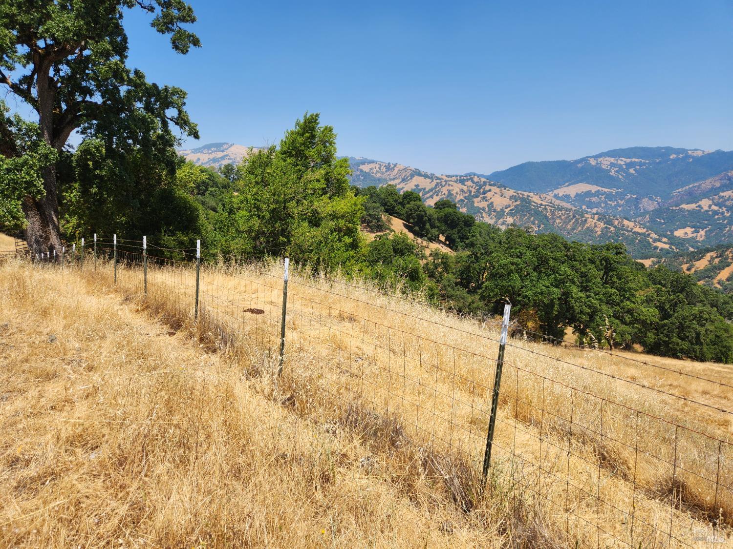 Detail Gallery Image 62 of 64 For 8225 Spyrock Rd, Laytonville,  CA 95454 - 2 Beds | 2 Baths