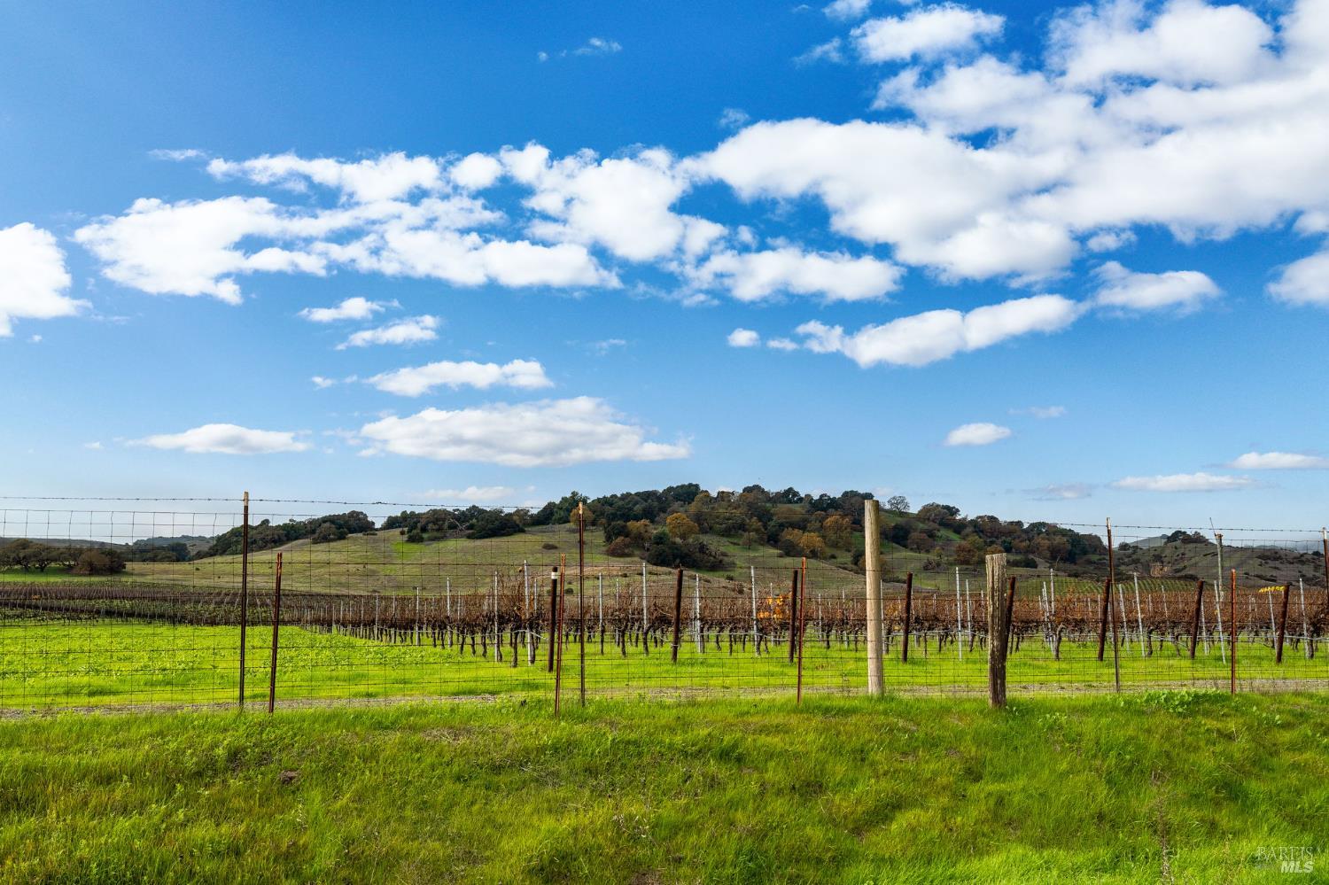 Detail Gallery Image 26 of 27 For 132 Bear Flag Rd, Sonoma,  CA 95476 - 2 Beds | 3 Baths