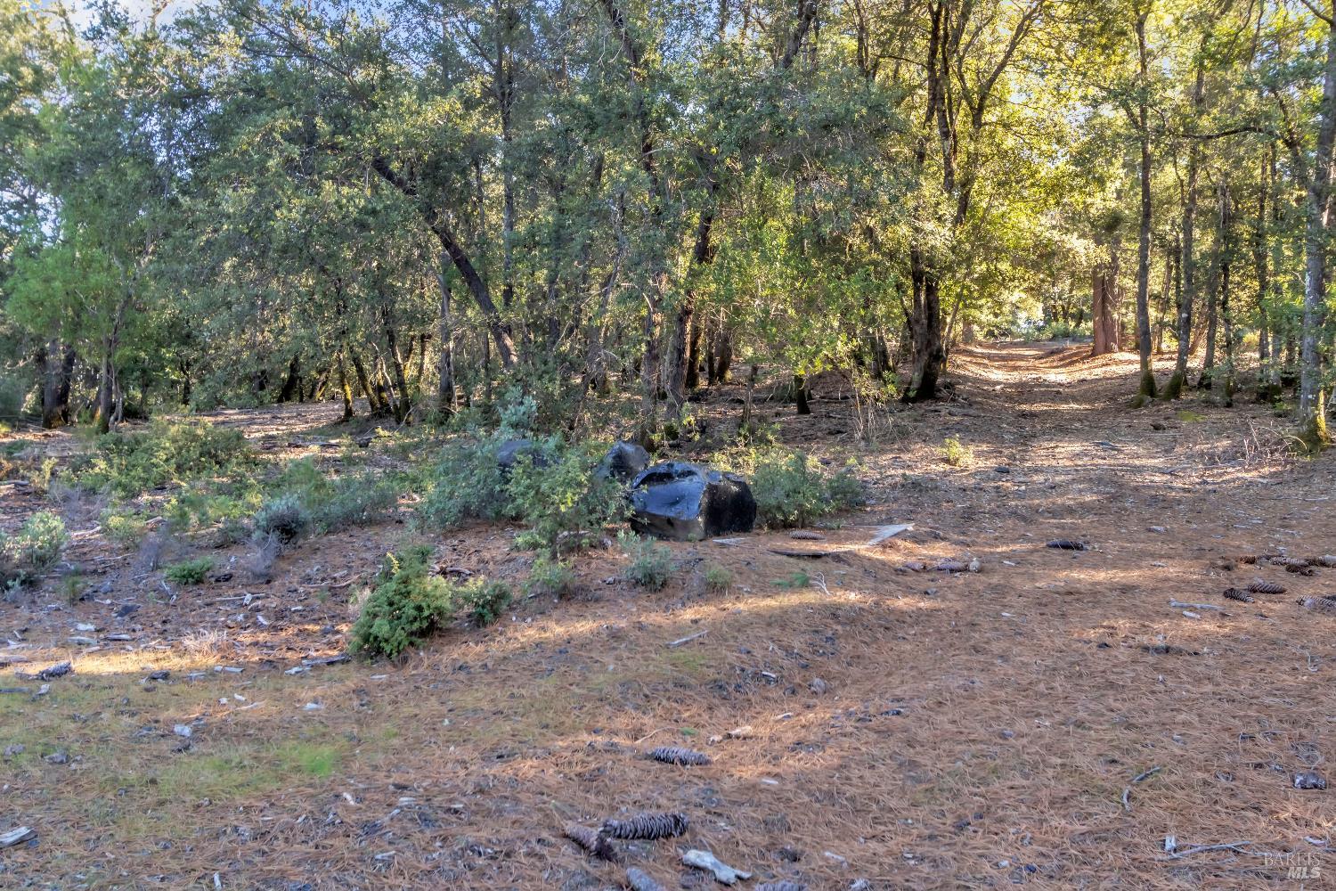 Detail Gallery Image 79 of 99 For 9240 Kelsey Creek Dr, Kelseyville,  CA 95451 - 1 Beds | 1 Baths