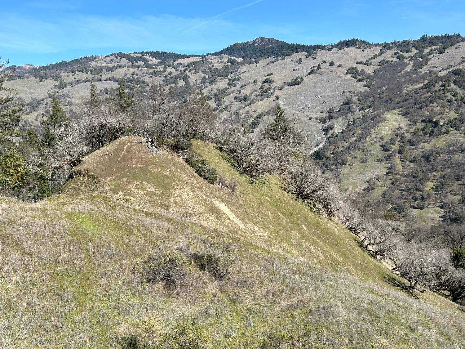 Detail Gallery Image 76 of 96 For 1 Island Mountain Rd, Laytonville,  CA 95454 - 2 Beds | 1 Baths