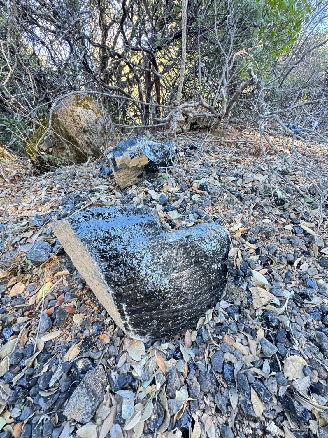 Detail Gallery Image 12 of 99 For 9240 Kelsey Creek Dr, Kelseyville,  CA 95451 - 1 Beds | 1 Baths