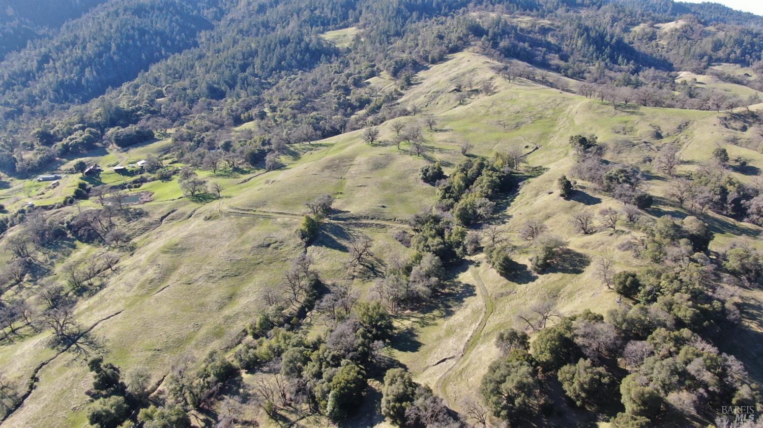 Detail Gallery Image 51 of 64 For 8225 Spyrock Rd, Laytonville,  CA 95454 - 2 Beds | 2 Baths