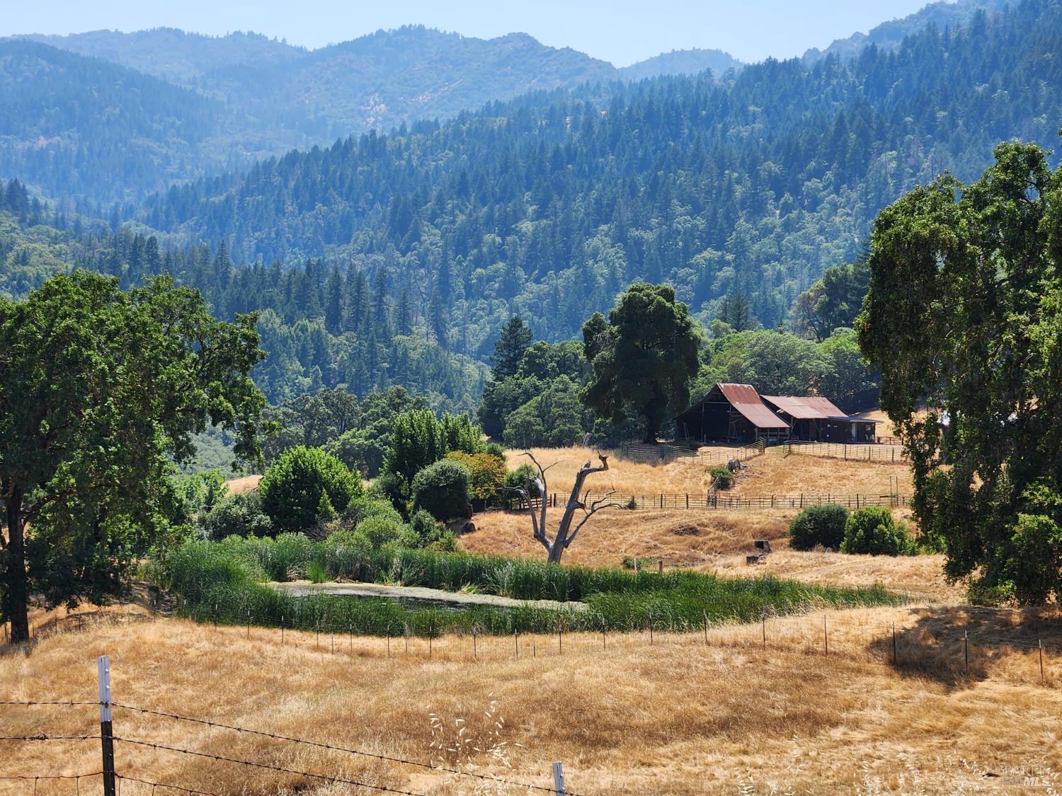 Detail Gallery Image 45 of 64 For 8225 Spyrock Rd, Laytonville,  CA 95454 - 2 Beds | 2 Baths