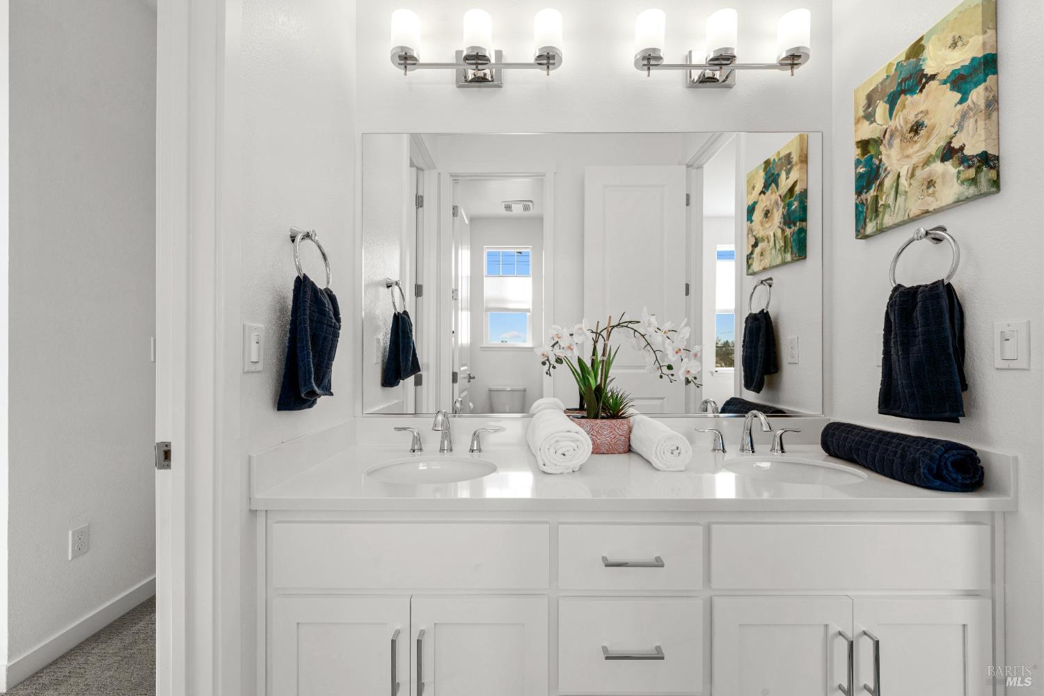 Detail Gallery Image 43 of 56 For 591 Madison St, Petaluma,  CA 94952 - 4 Beds | 3/1 Baths