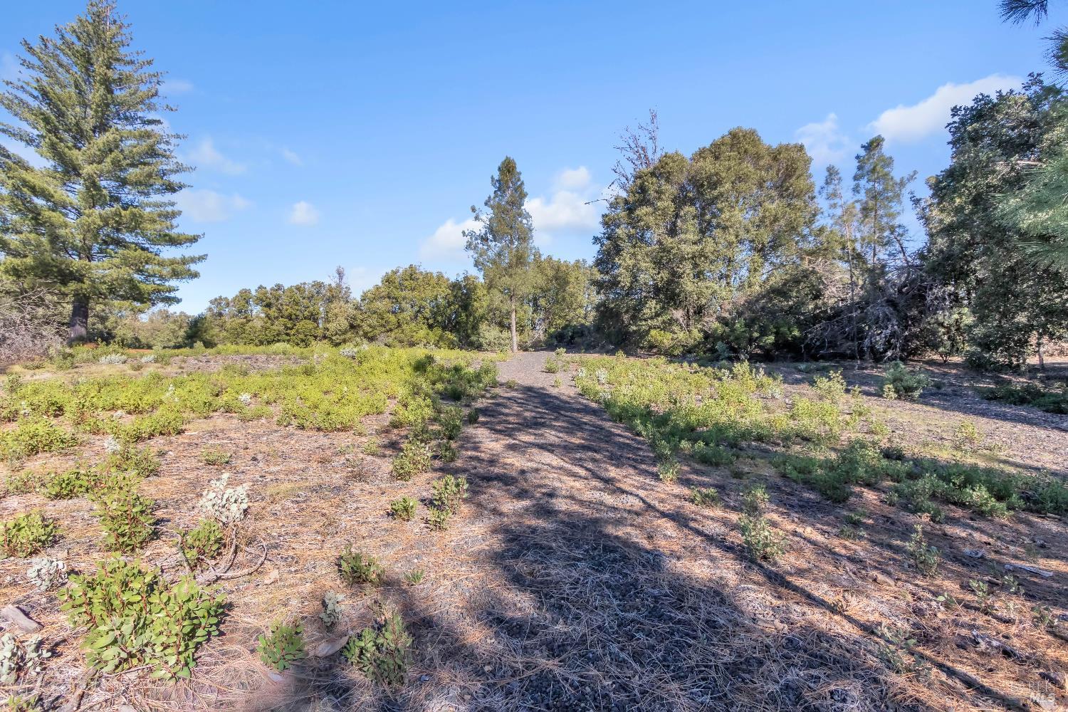 Detail Gallery Image 76 of 99 For 9240 Kelsey Creek Dr, Kelseyville,  CA 95451 - 1 Beds | 1 Baths