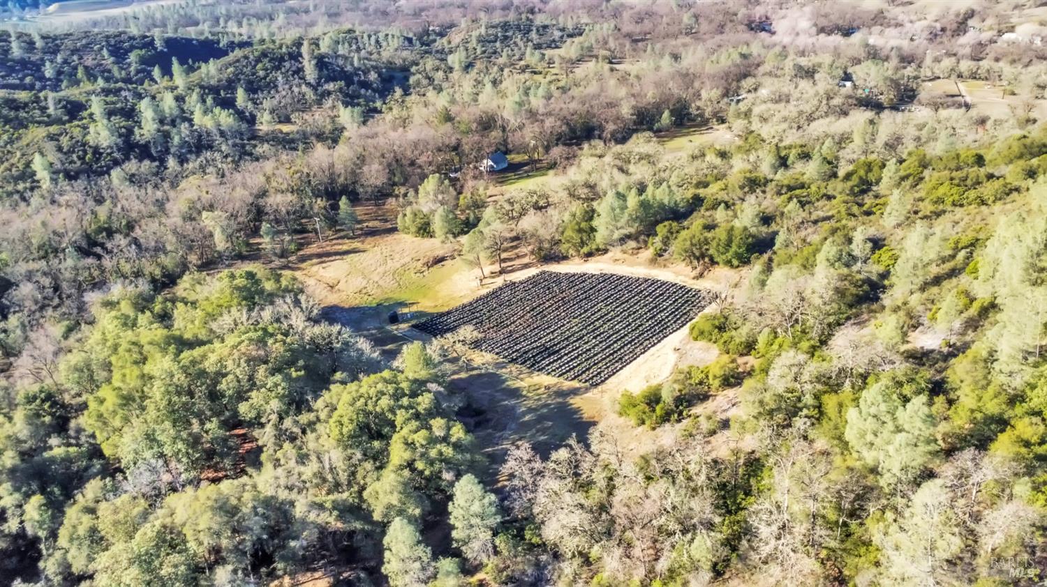 Detail Gallery Image 35 of 99 For 9240 Kelsey Creek Dr, Kelseyville,  CA 95451 - 1 Beds | 1 Baths