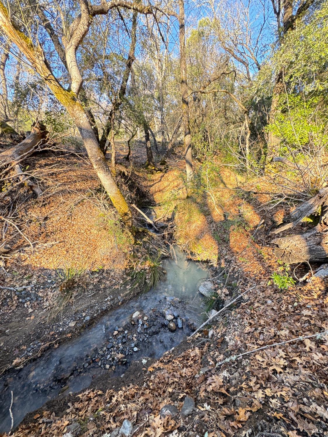 Detail Gallery Image 6 of 99 For 9240 Kelsey Creek Dr, Kelseyville,  CA 95451 - 1 Beds | 1 Baths