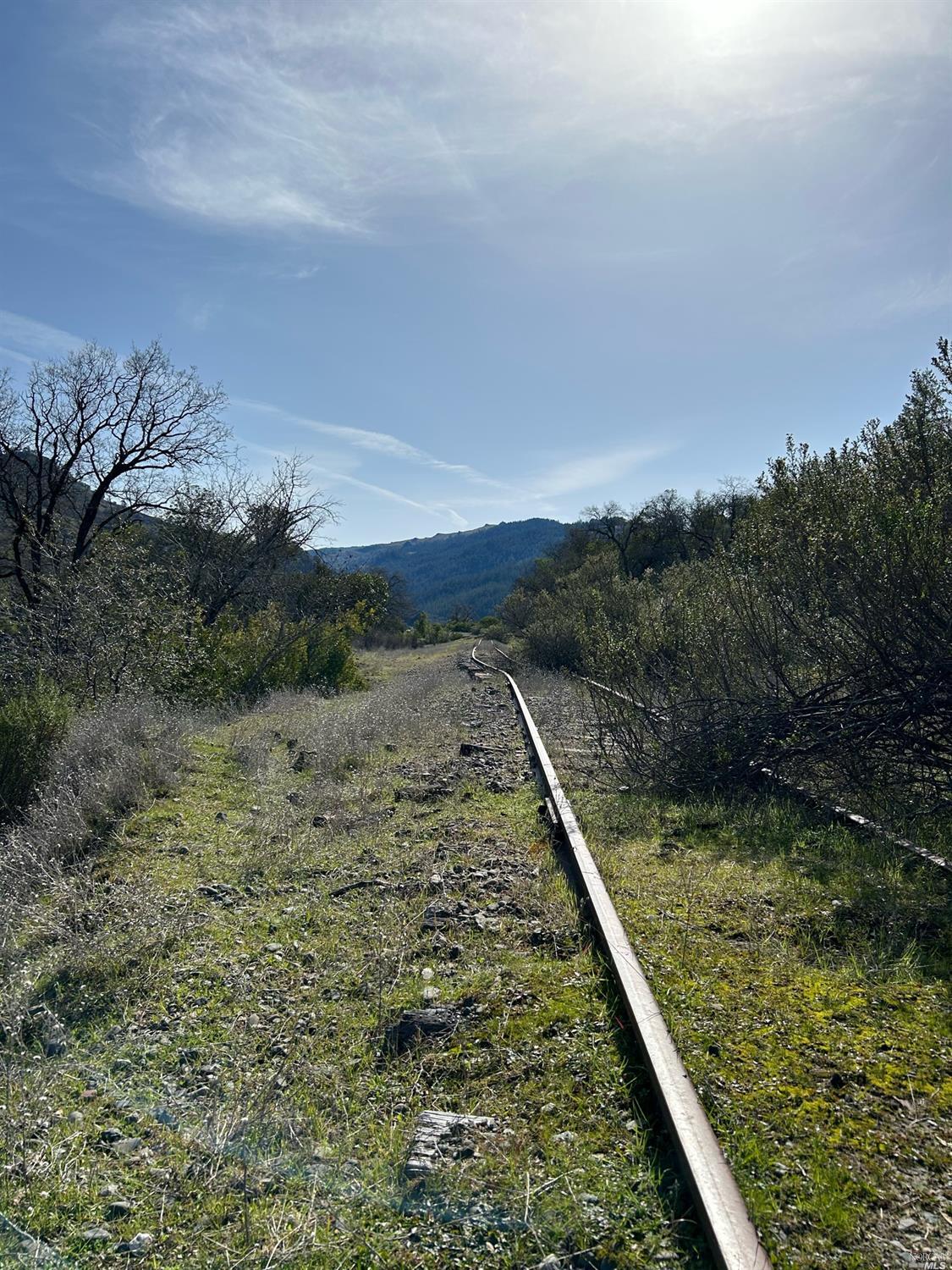 Detail Gallery Image 38 of 96 For 1 Island Mountain Rd, Laytonville,  CA 95454 - 2 Beds | 1 Baths