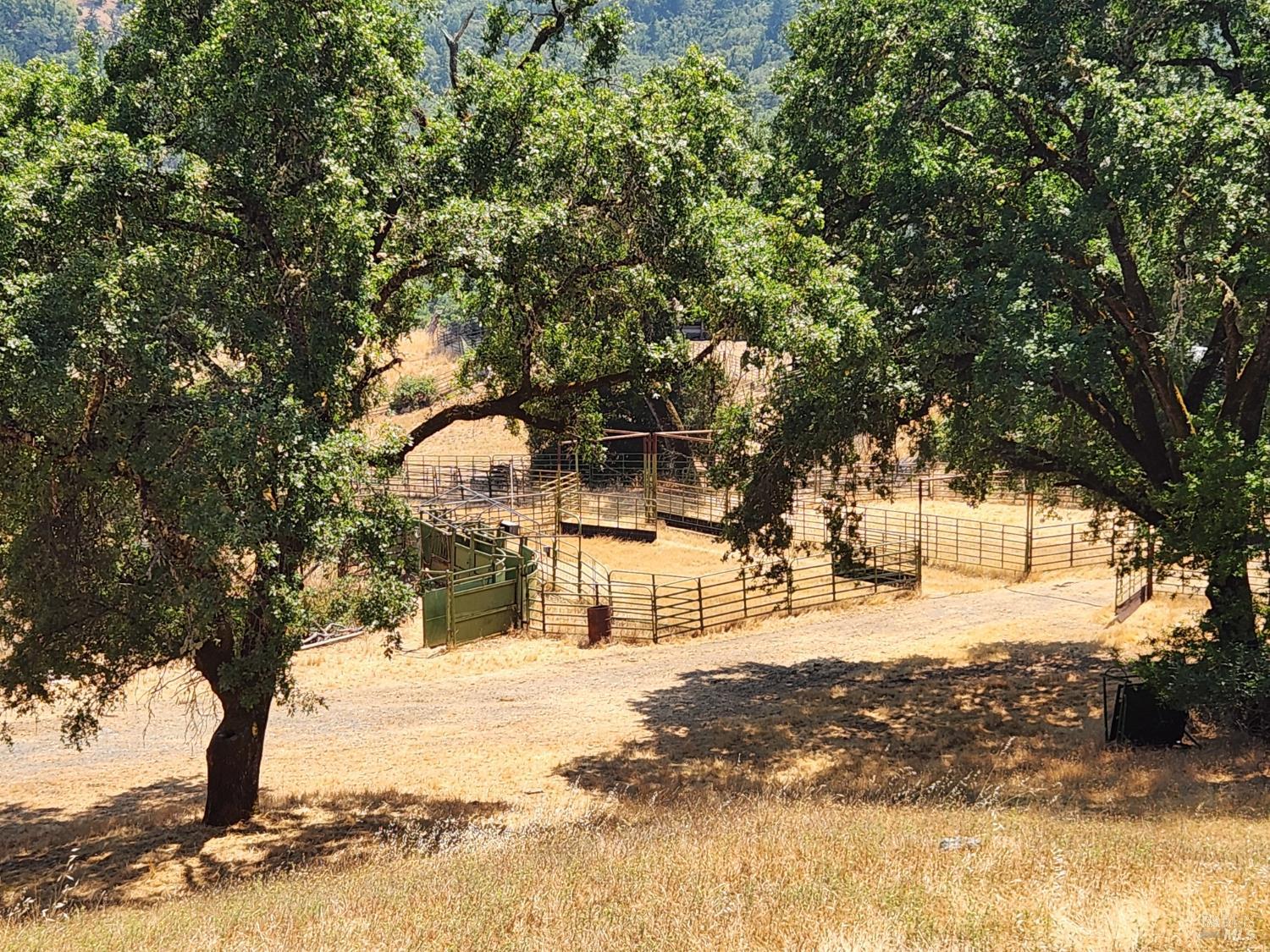 Detail Gallery Image 55 of 64 For 8225 Spyrock Rd, Laytonville,  CA 95454 - 2 Beds | 2 Baths