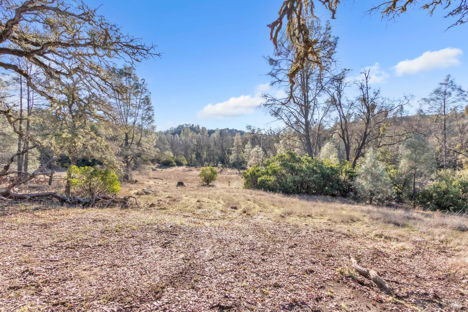 Detail Gallery Image 39 of 99 For 9240 Kelsey Creek Dr, Kelseyville,  CA 95451 - 1 Beds | 1 Baths