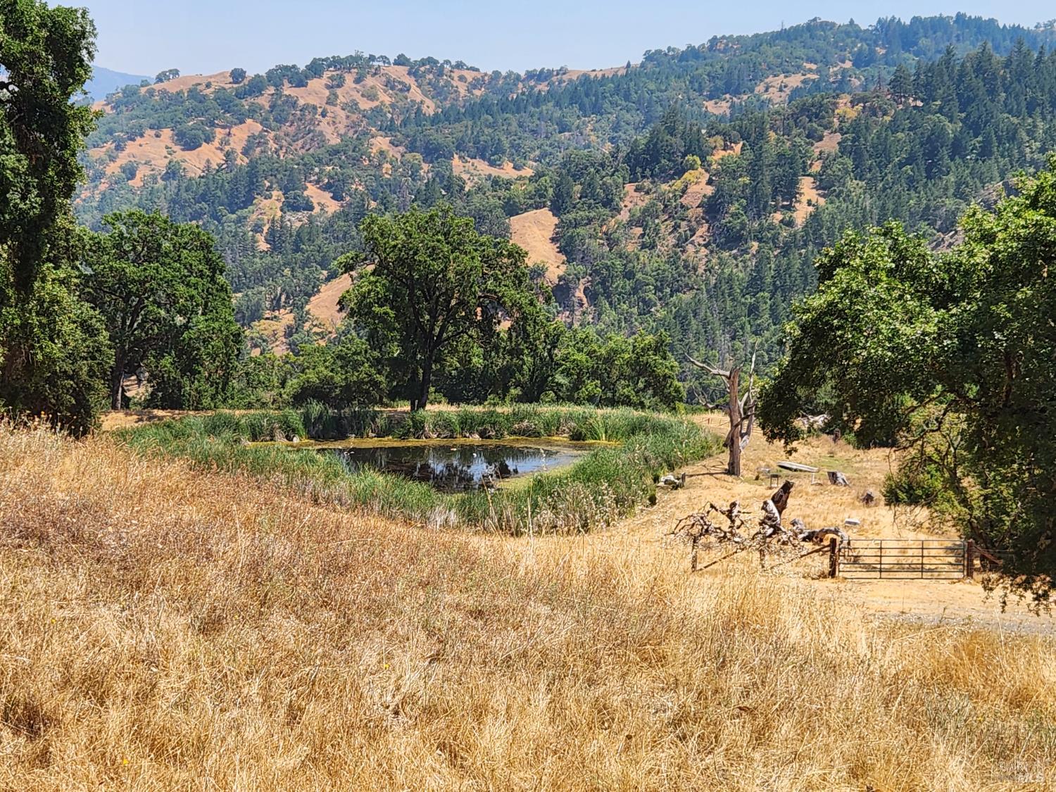 Detail Gallery Image 46 of 64 For 8225 Spyrock Rd, Laytonville,  CA 95454 - 2 Beds | 2 Baths