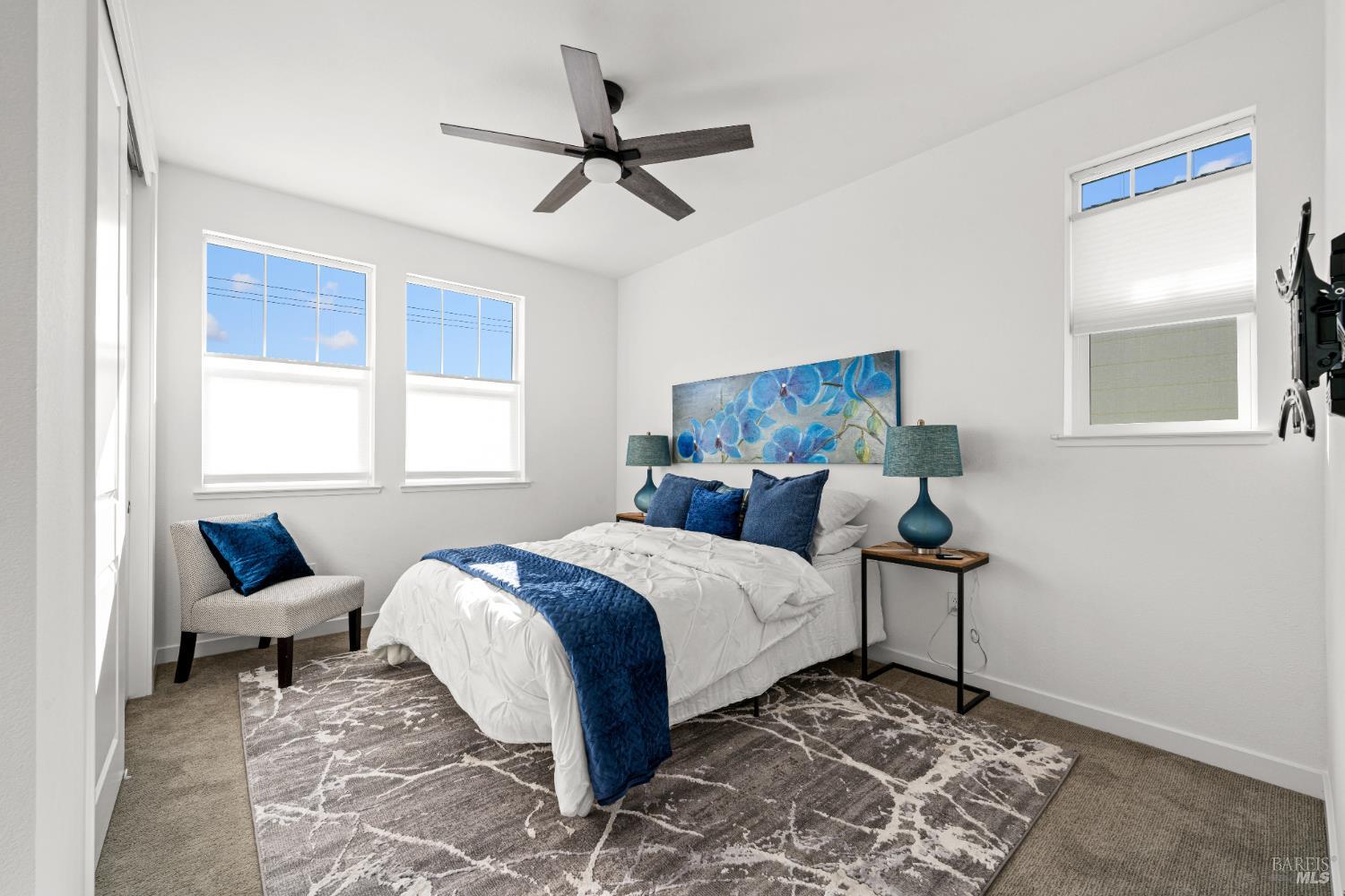 Detail Gallery Image 45 of 56 For 591 Madison St, Petaluma,  CA 94952 - 4 Beds | 3/1 Baths