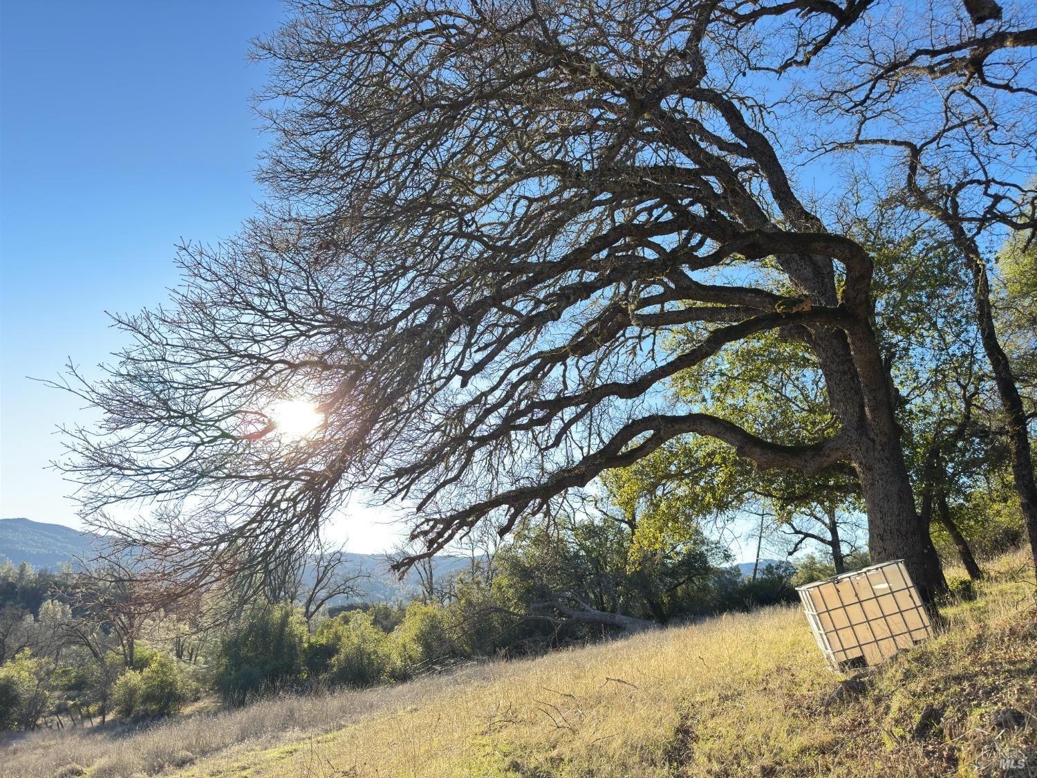 Detail Gallery Image 17 of 99 For 9240 Kelsey Creek Dr, Kelseyville,  CA 95451 - 1 Beds | 1 Baths
