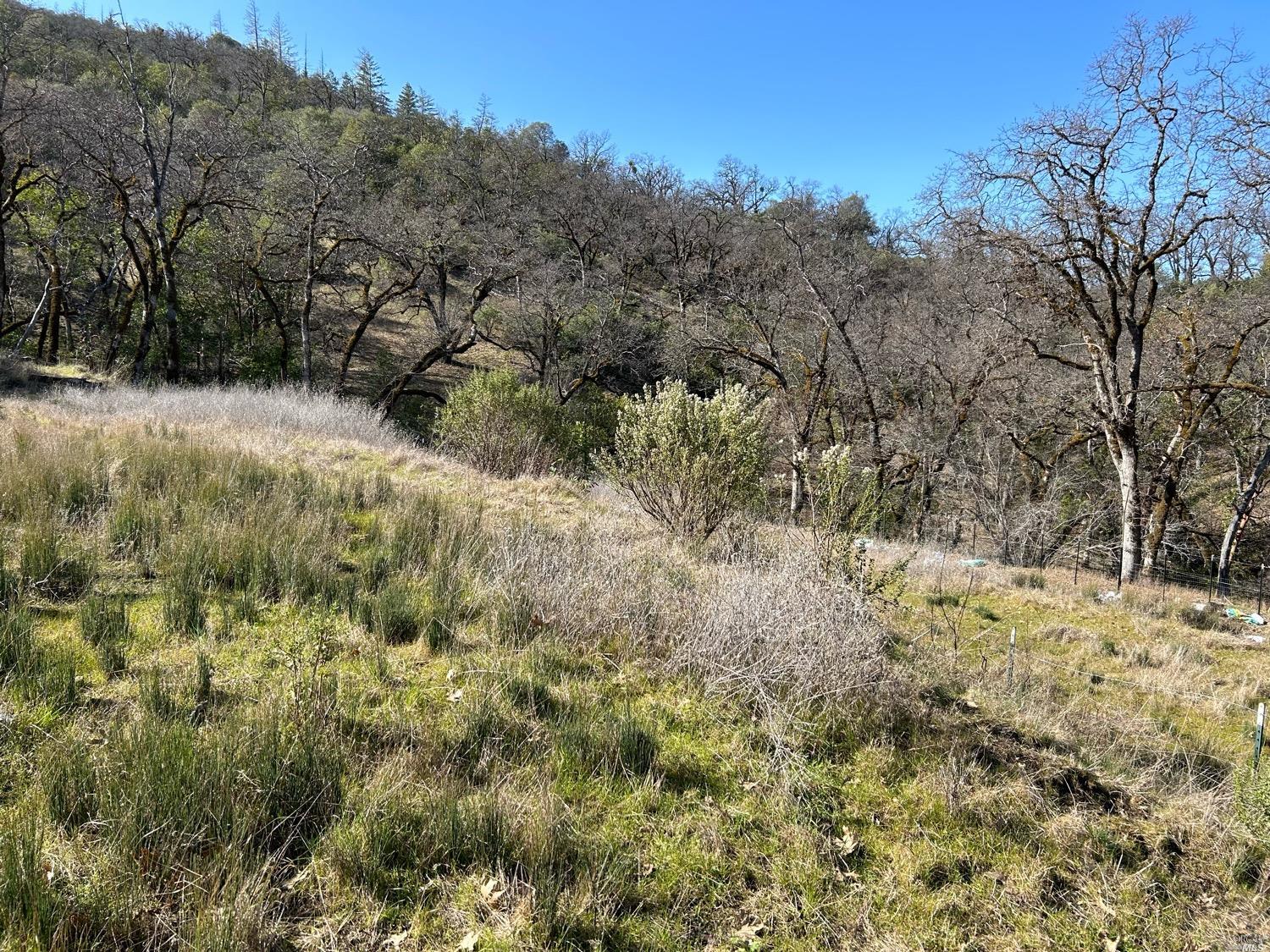 Detail Gallery Image 79 of 96 For 1 Island Mountain Rd, Laytonville,  CA 95454 - 2 Beds | 1 Baths