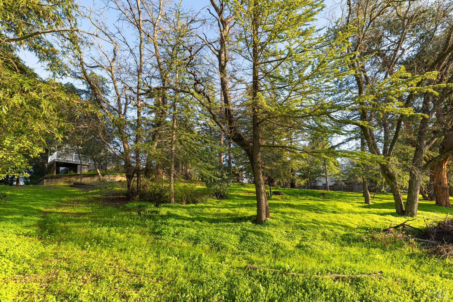 Detail Gallery Image 79 of 90 For 230 Santa Cruz Ct, Vacaville,  CA 95688 - 4 Beds | 3 Baths
