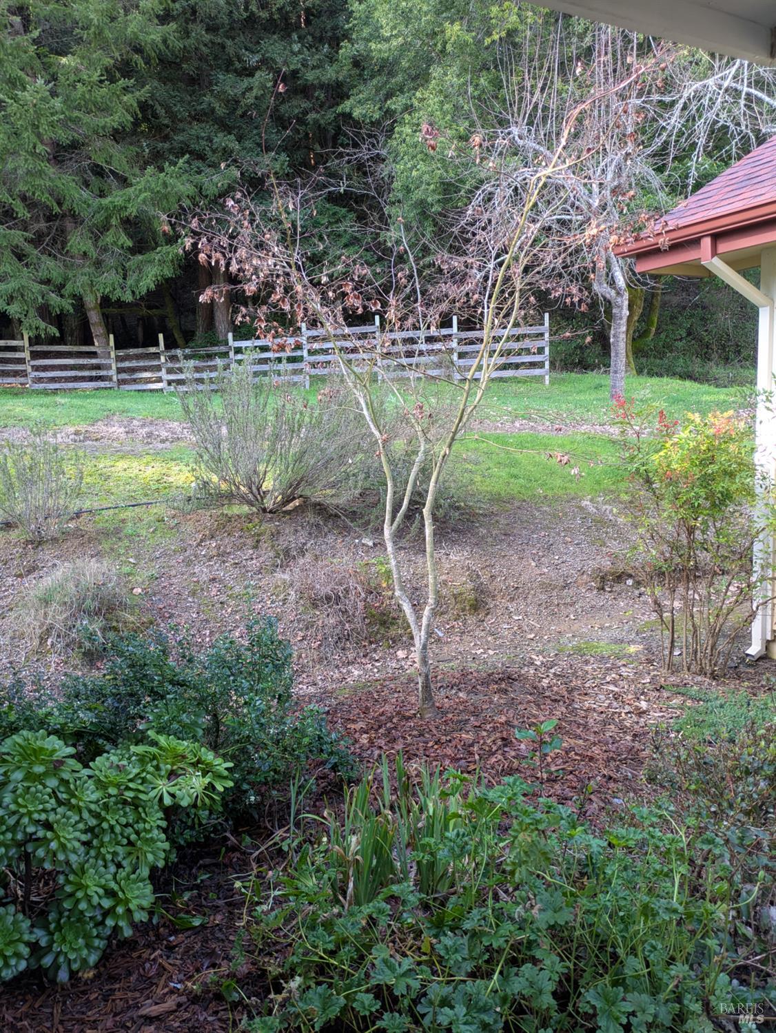 Detail Gallery Image 23 of 23 For 14639 Jomark Ln, Occidental,  CA 95465 - 2 Beds | 2/1 Baths