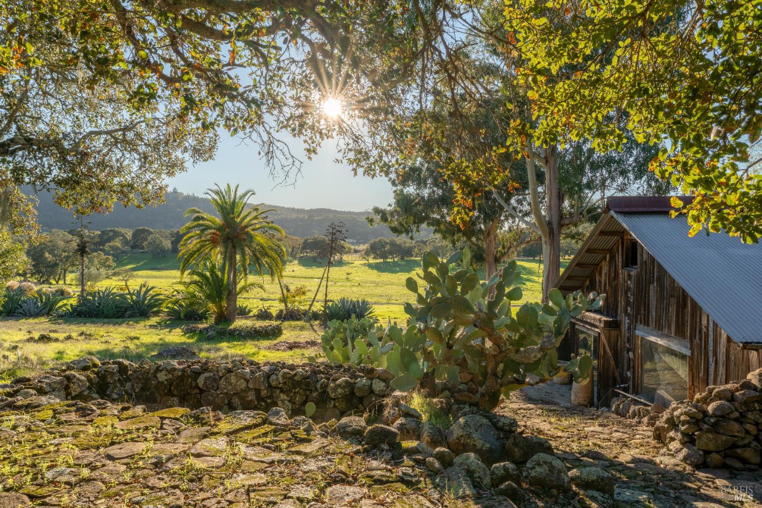 Front Image Thumbnail for BA326004758