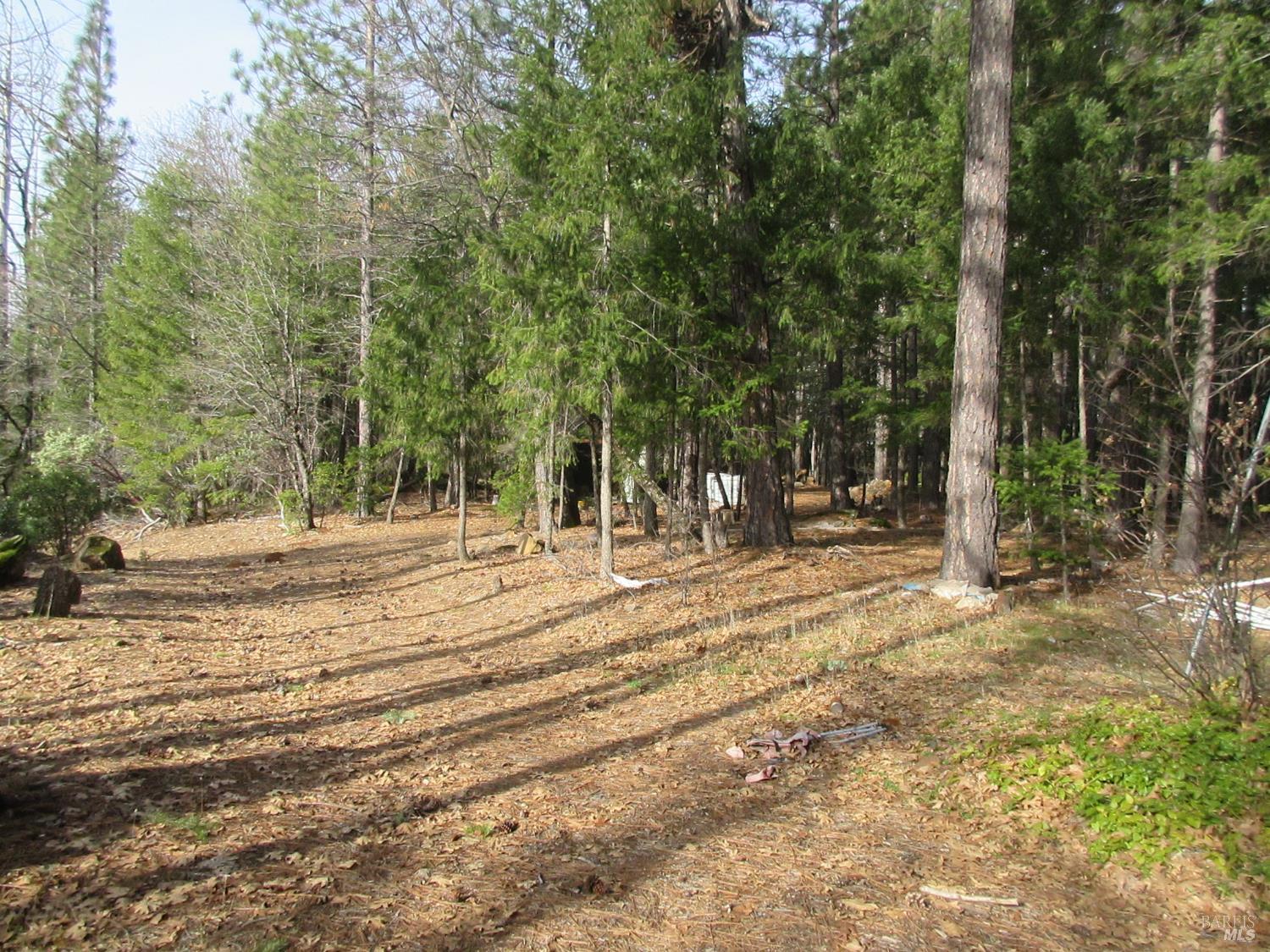 Detail Gallery Image 8 of 30 For 30425 Frontier Rd, Oak Run,  CA 96069 - – Beds | – Baths