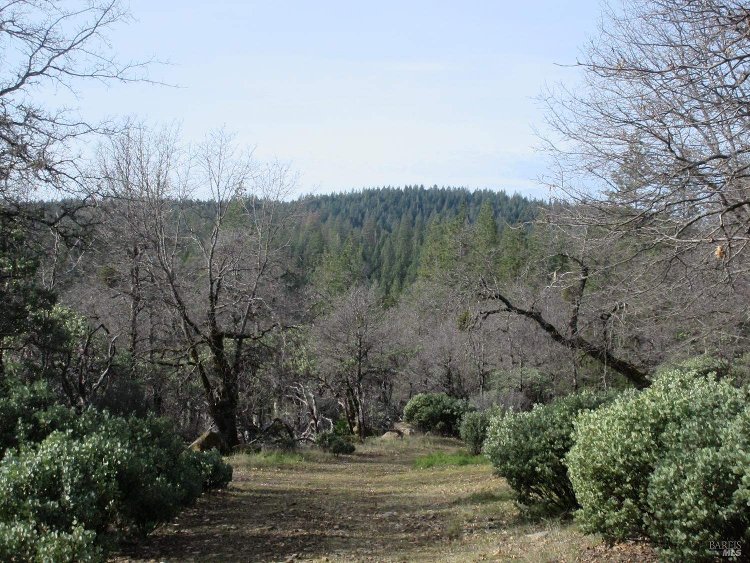 Front Image Thumbnail for BA326009583