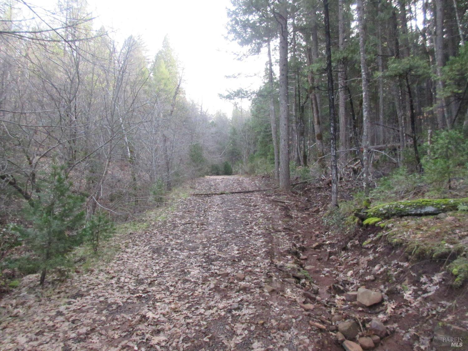 Detail Gallery Image 25 of 30 For 30425 Frontier Rd, Oak Run,  CA 96069 - – Beds | – Baths