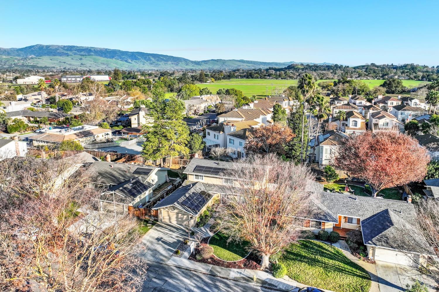 Detail Gallery Image 6 of 99 For 480 La Canada Ct, Morgan Hill,  CA 95037 - 5 Beds | 3/1 Baths