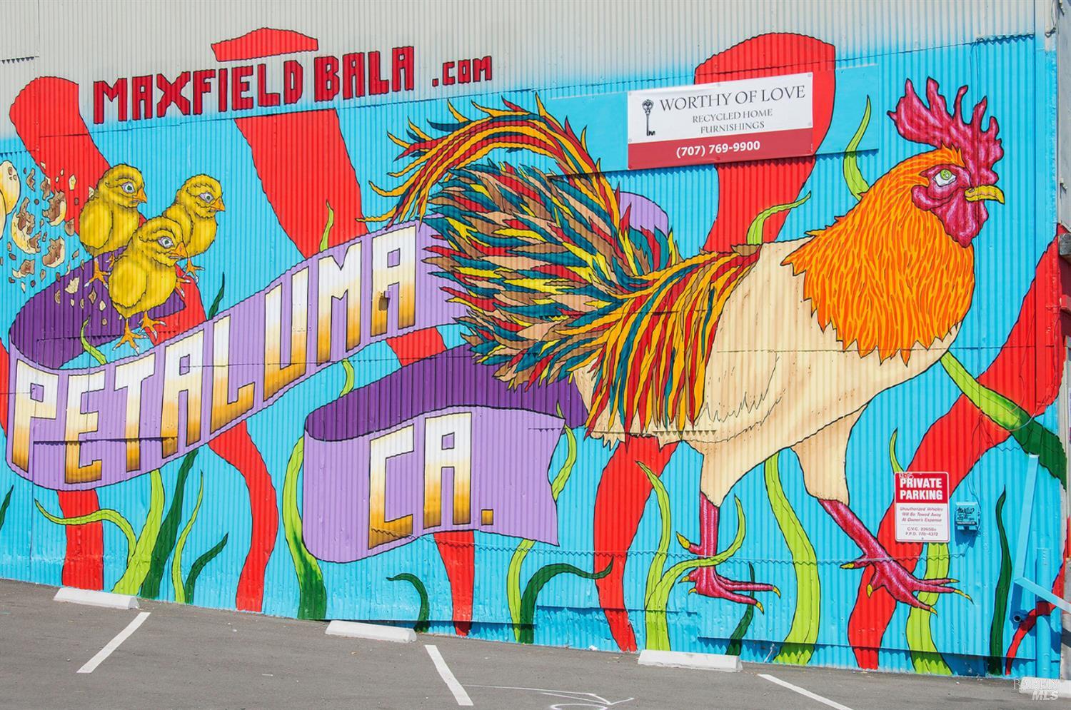 Detail Gallery Image 78 of 78 For 1805 Alvarado St, Petaluma,  CA 94952 - 4 Beds | 3 Baths