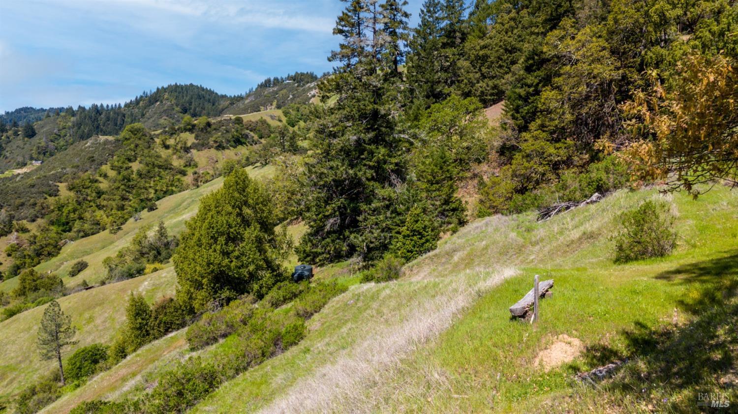 Detail Gallery Image 10 of 10 For 15800 Ridgeview Rd, Willits,  CA 95490 - – Beds | – Baths