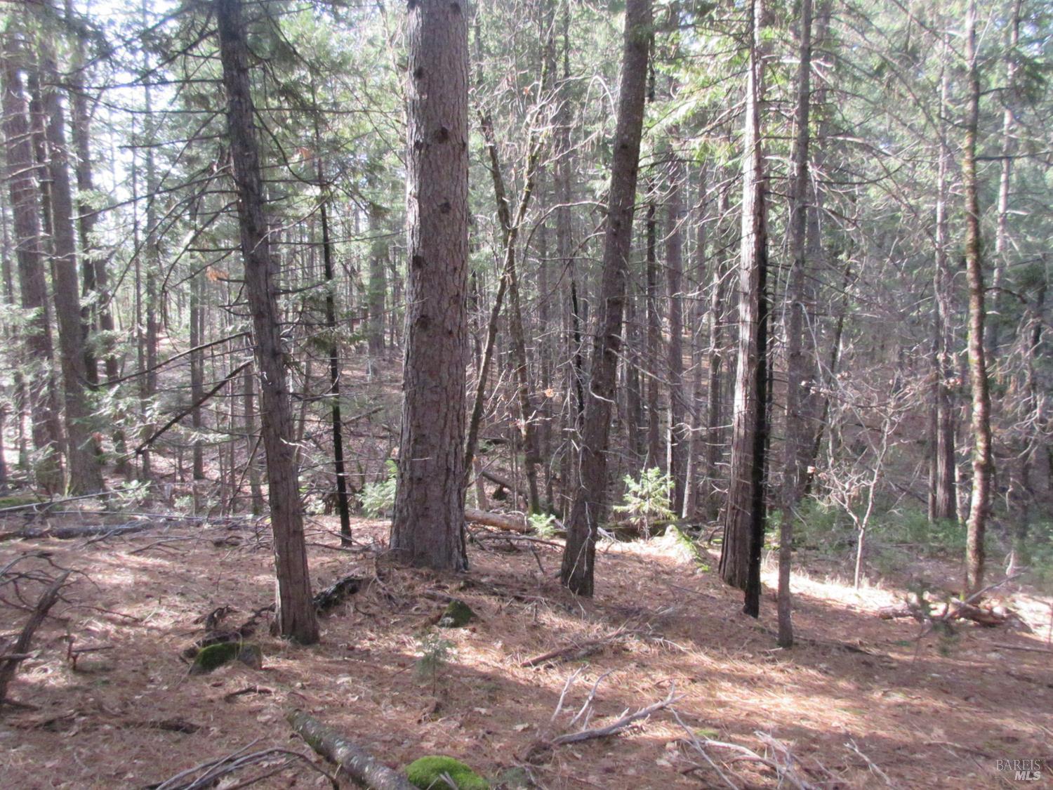 Detail Gallery Image 20 of 30 For 30425 Frontier Rd, Oak Run,  CA 96069 - – Beds | – Baths