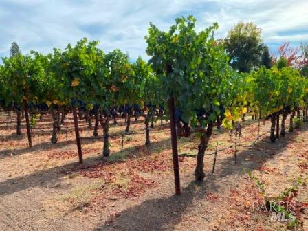 Detail Gallery Image 68 of 68 For 1180 Monticello Rd, Napa,  CA 94558 - 3 Beds | 2 Baths