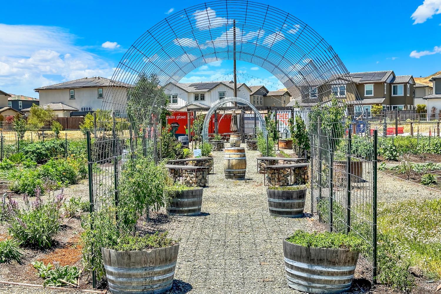 Detail Gallery Image 78 of 79 For 2282 Solace Vis, Fairfield,  CA 94533 - 2 Beds | 2 Baths