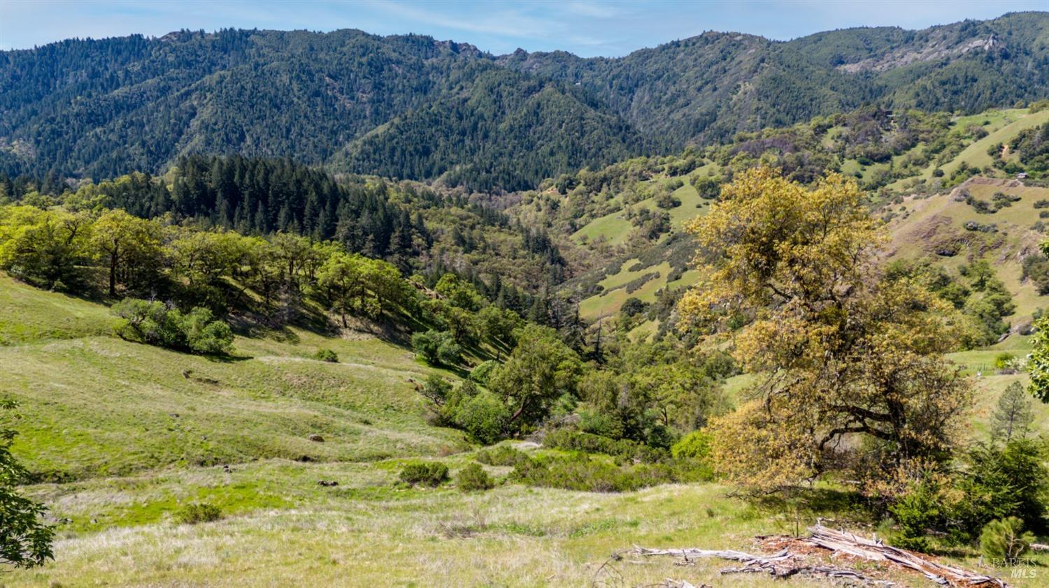 Detail Gallery Image 8 of 10 For 15800 Ridgeview Rd, Willits,  CA 95490 - – Beds | – Baths