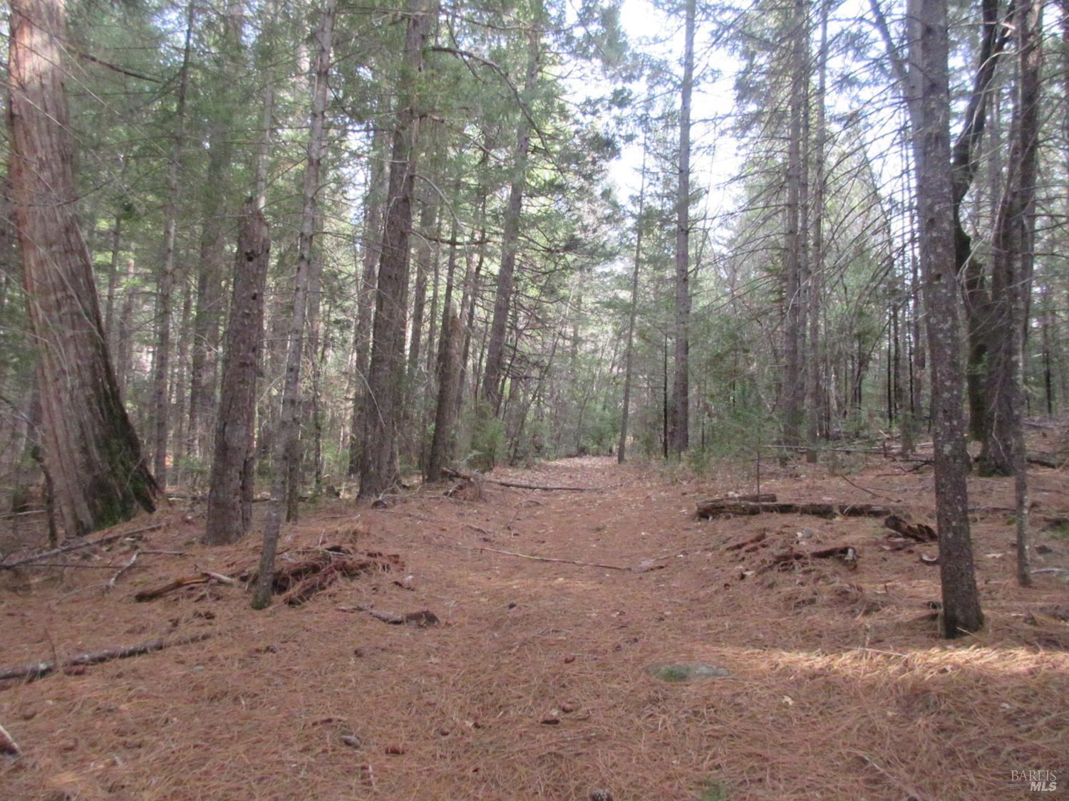 Detail Gallery Image 13 of 30 For 30425 Frontier Rd, Oak Run,  CA 96069 - – Beds | – Baths