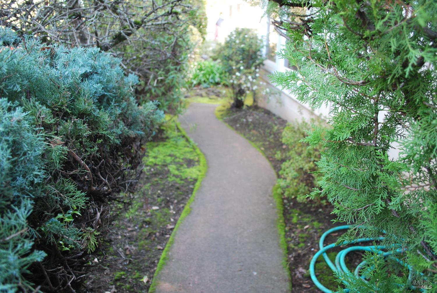 Detail Gallery Image 6 of 22 For 1309 D Street Extension St, Petaluma,  CA 94952 - 1 Beds | 1 Baths