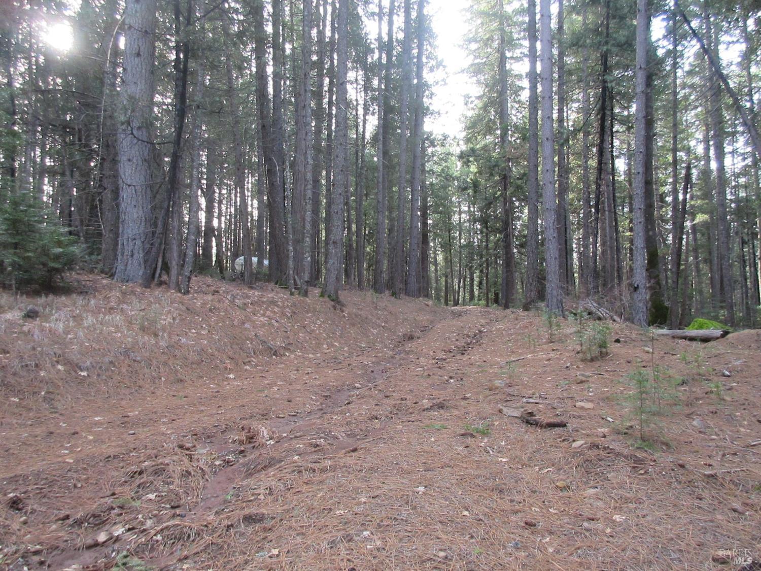 Detail Gallery Image 5 of 30 For 30425 Frontier Rd, Oak Run,  CA 96069 - – Beds | – Baths