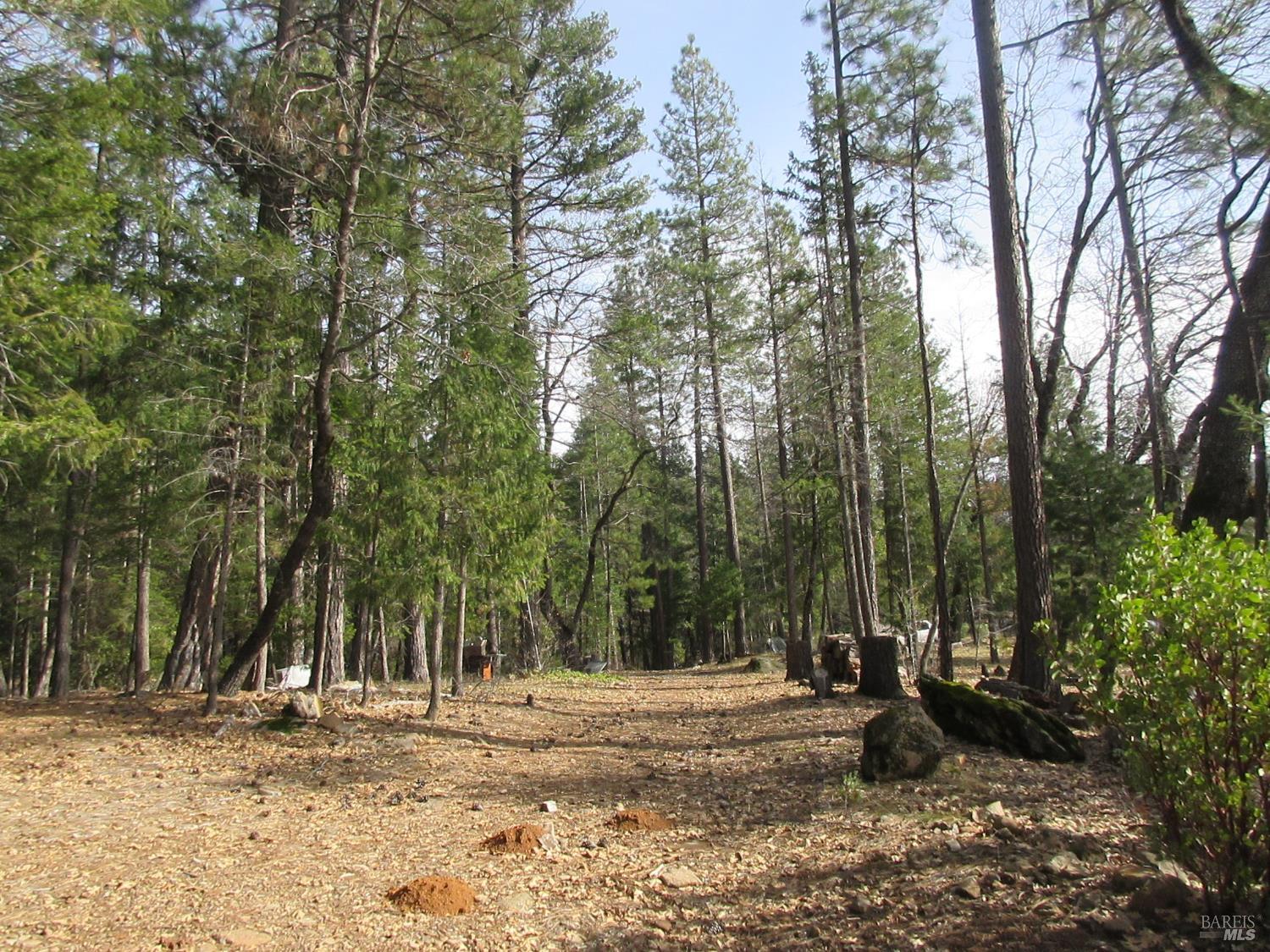 Detail Gallery Image 24 of 30 For 30425 Frontier Rd, Oak Run,  CA 96069 - – Beds | – Baths